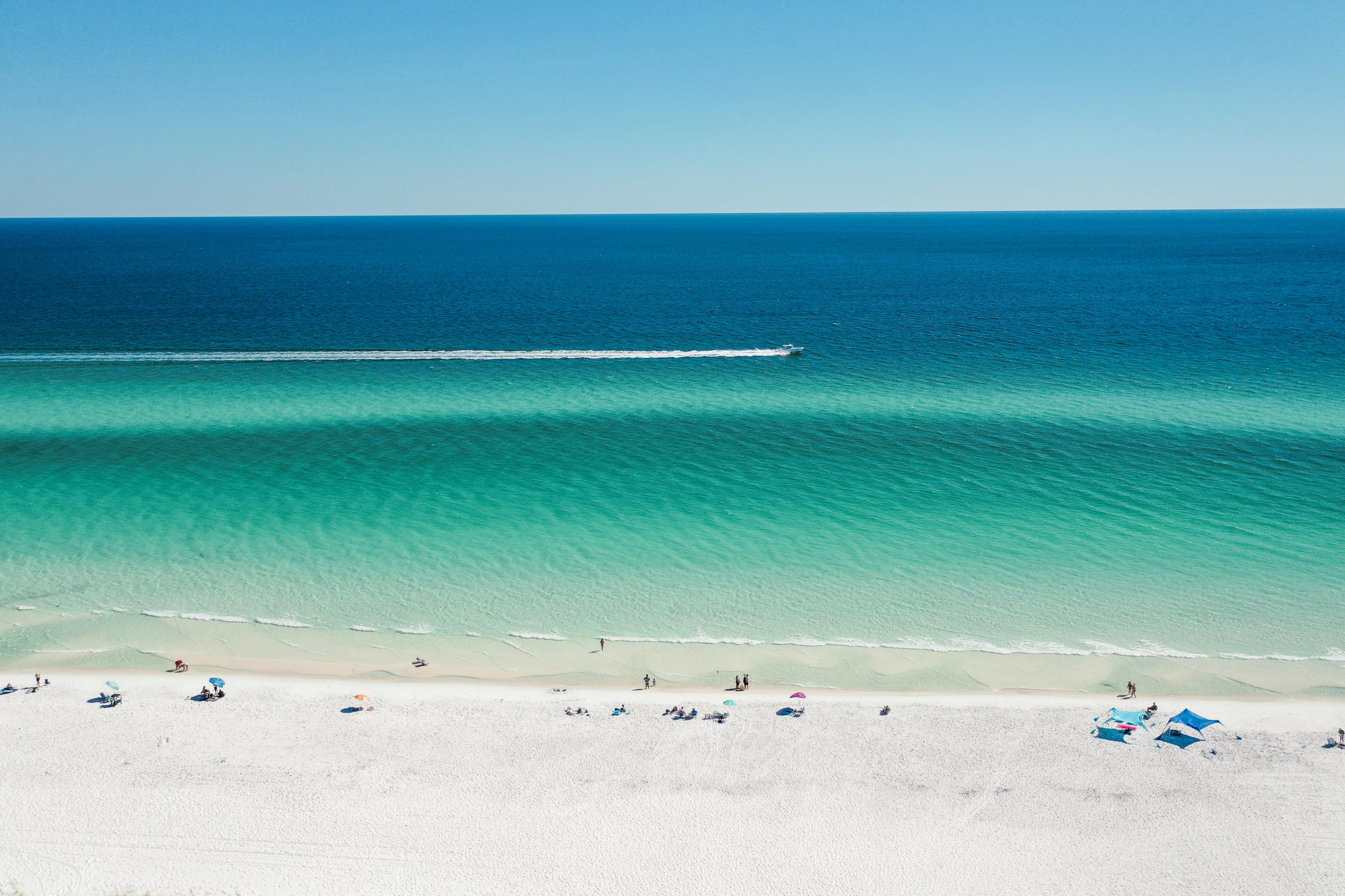 VISIT FLORIDA Search