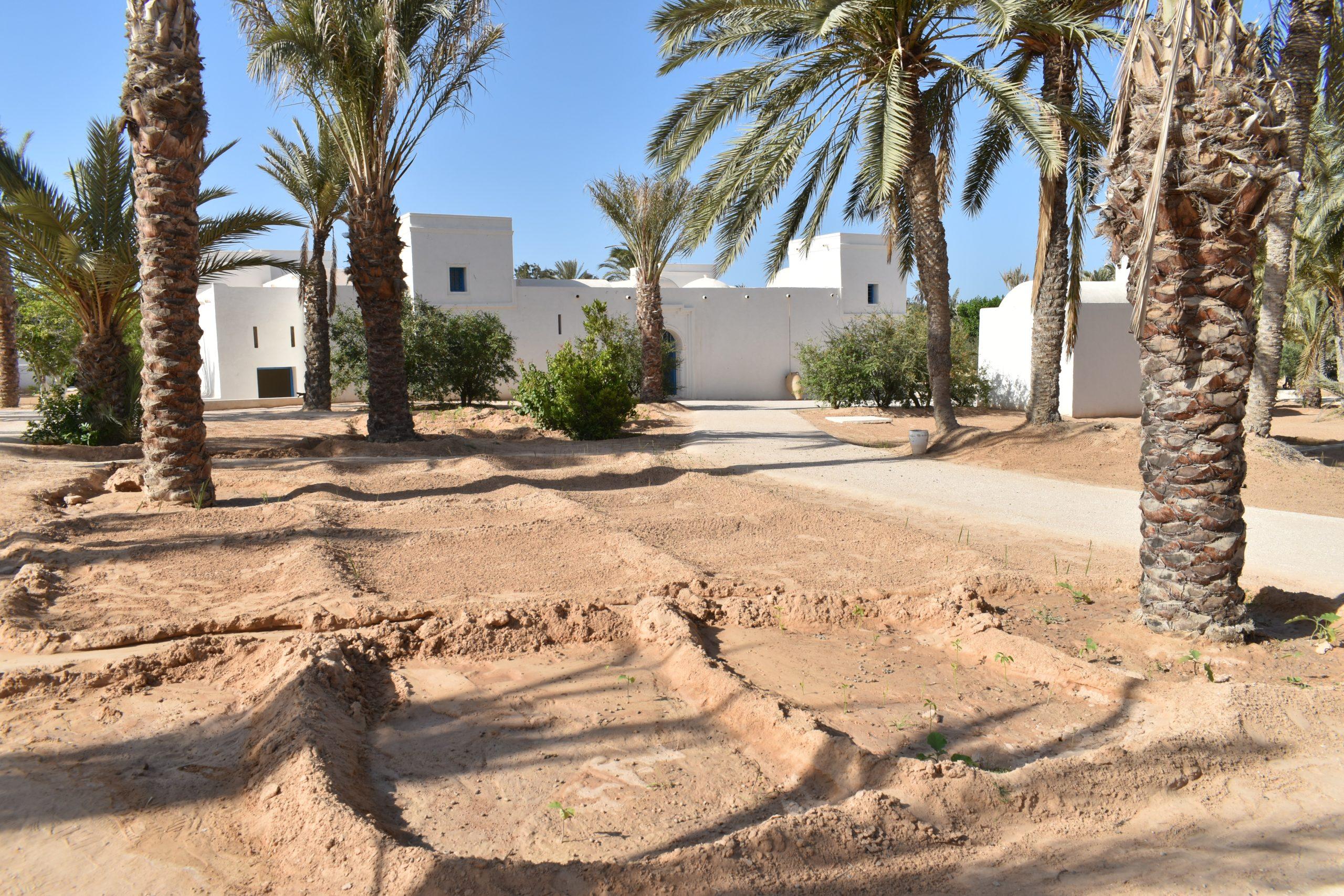 Photo Exhibit: UNESCO Announces Djerba as a Cultural Heritage Site ...